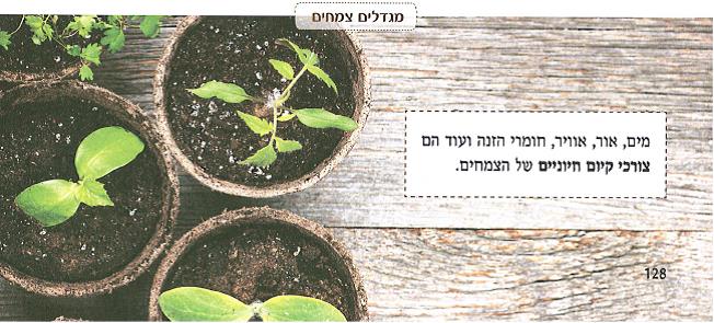 (בספר איור של:)